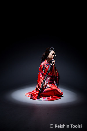Geisha in the spotlight